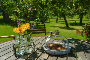 Ghid complet pentru amenajarea unui colț de relaxare &icirc;n grădină