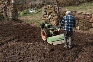 Reguli de siguranță de care să ții cont atunci c&acirc;nd folosești o motosapă pe benzină