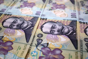Față de &icirc;nceputul anului, leul a pierdut circa 2,5% față de euro