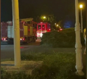 UPDATE. Descoperire șocantă &icirc;n timpul căutărilor bărbatului dispărut &icirc;n Dunăre