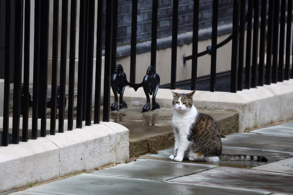 Motanul Larry, pregătit să-i ureze bun venit noului prim-ministru al Marii Britanii în Downing Street 10