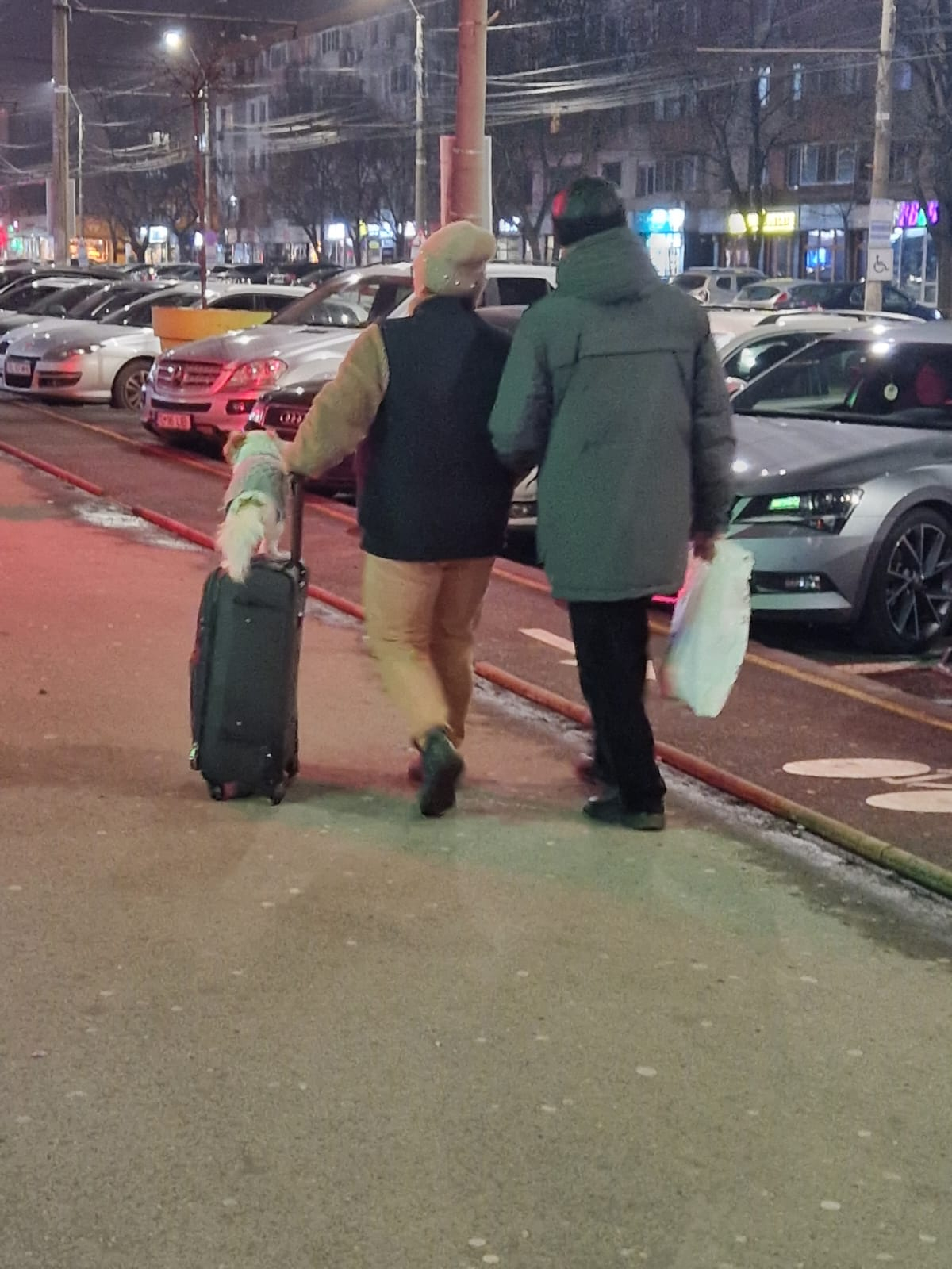 Poza zilei. Cum se călătoreşte cu stil