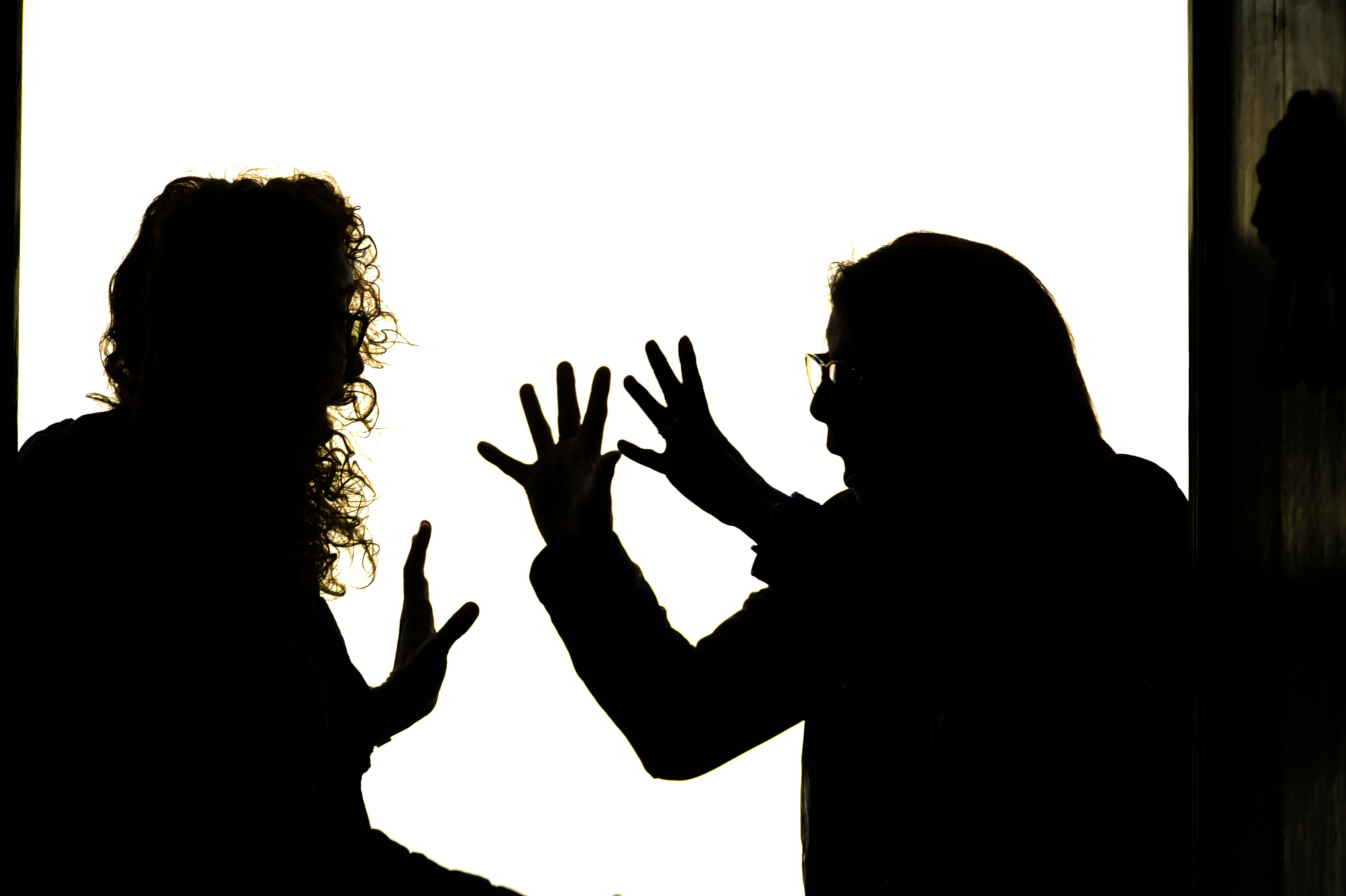 Dialogul surzilor în societatea românească