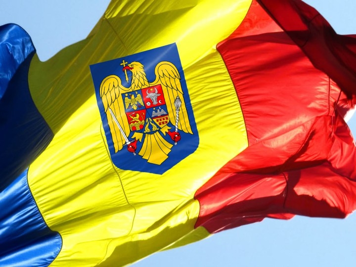Tricolorul va avea stema ţării, conform noii Constituţii