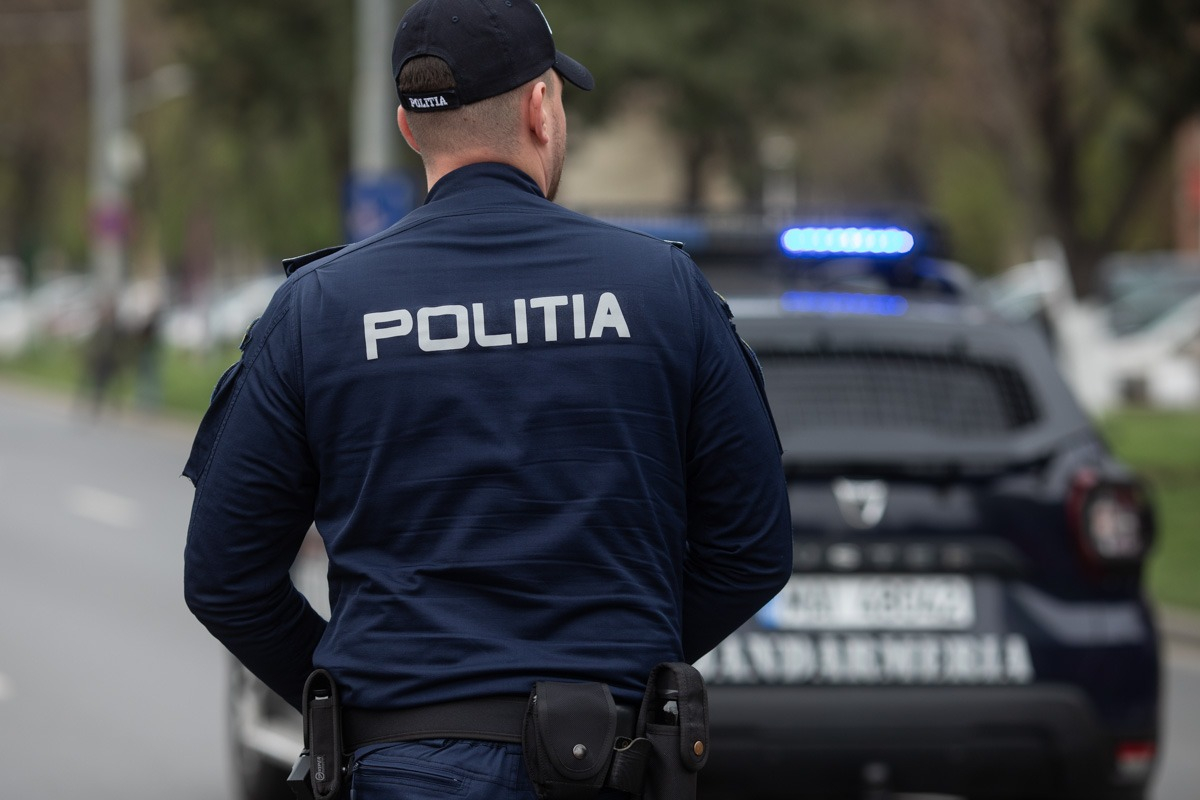 Ordine de protecție contra gălățenilor agresivi, în orice situație