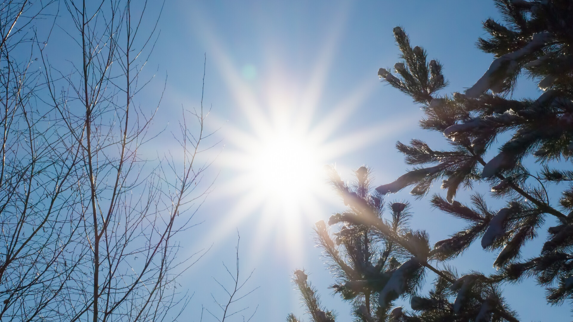 Temperaturi peste medie, în a doua jumătate a lunii ianuarie