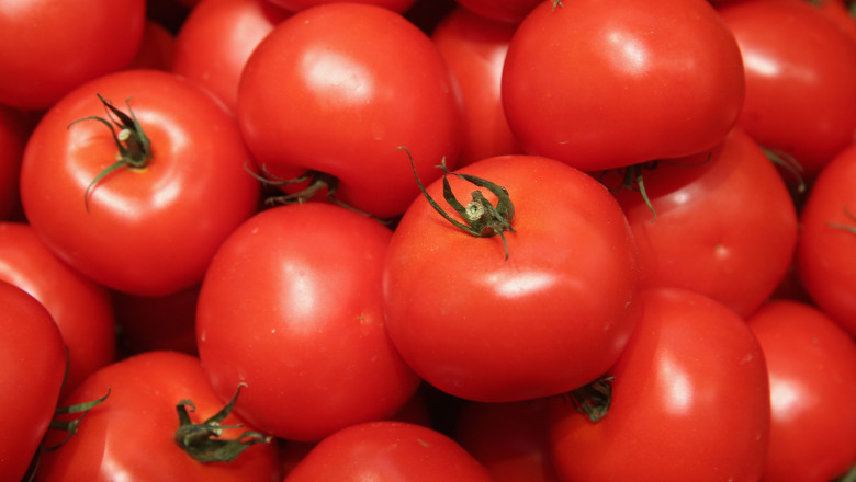 Bani pentru gălăţenii cultivatori de roşii