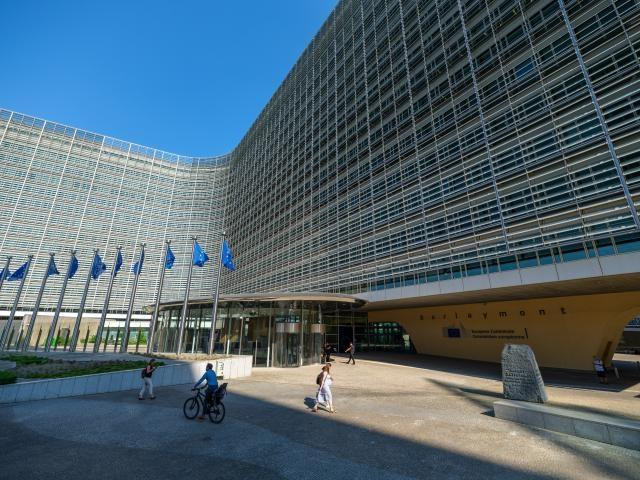 Acordul UE - Mercosur, aplicat provizoriu de la 1 mai