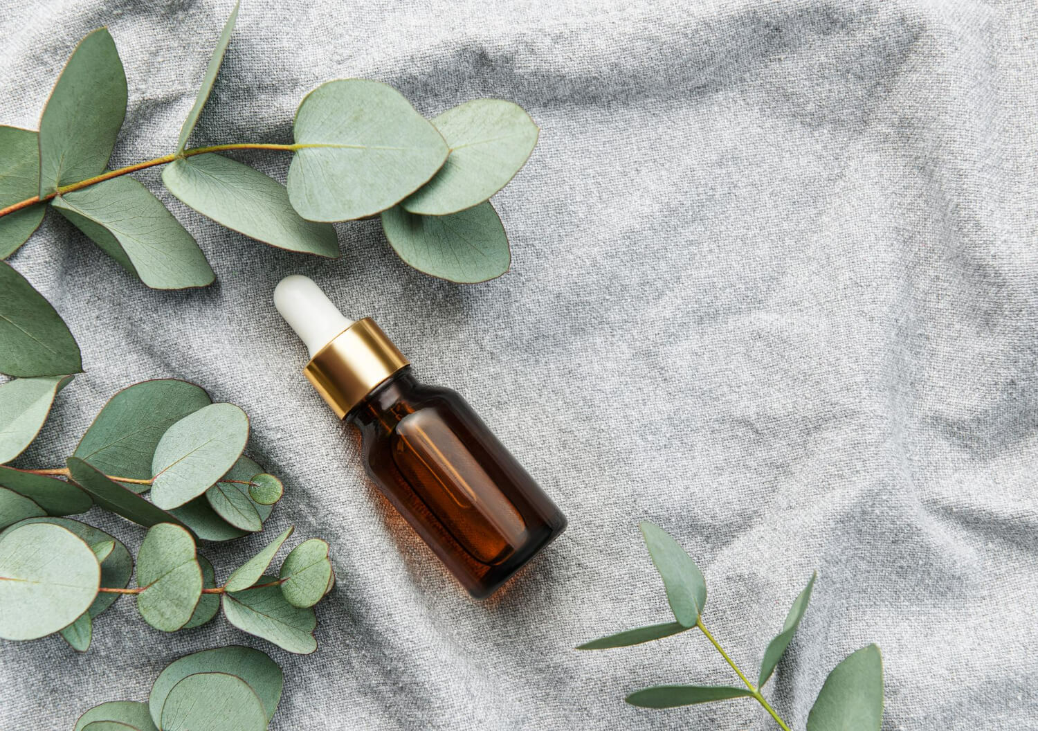 Uleiul de eucalipt, aliat natural în prevenirea răcelilor de iarnă