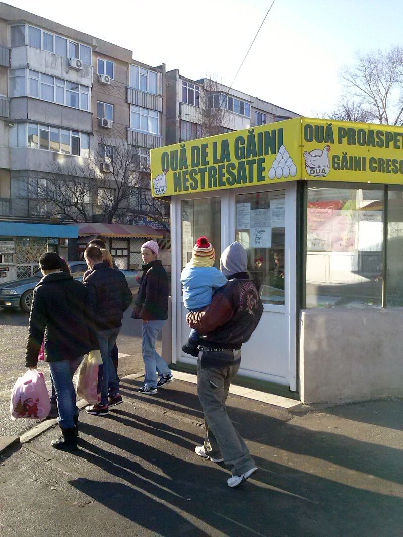 Umorul străzii / Ouă sănătoase într-o lume stricată la cap
