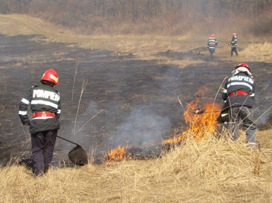 Arderea miriștilor și a resturilor vegetale, pedepsită