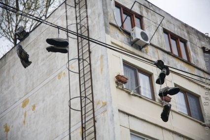 Uriaşul Periferigerilerimini stă în Micro 40