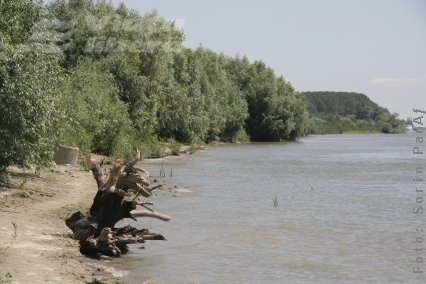 Cine e artizanul afacerii „Malul Dunării”?