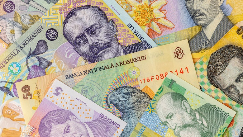 O nouă zi de apreciere pentru leu