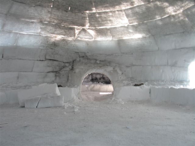 Ninge rar, dar ne salvează de Calorgal 