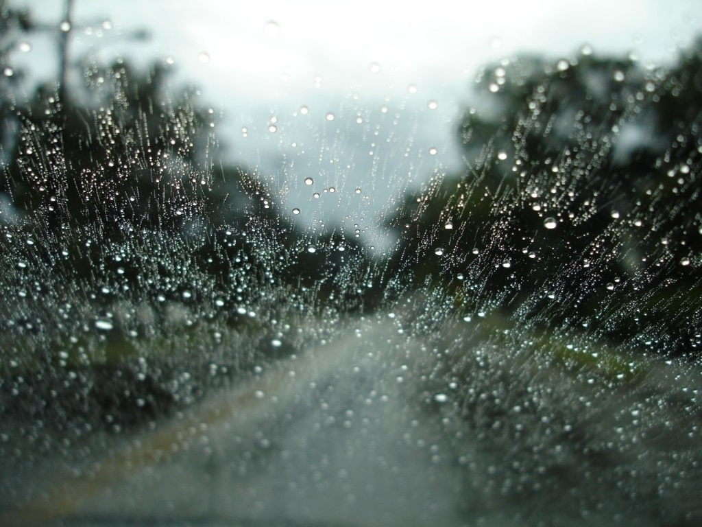 Meteo. Temperaturi în creștere și ploi persistente