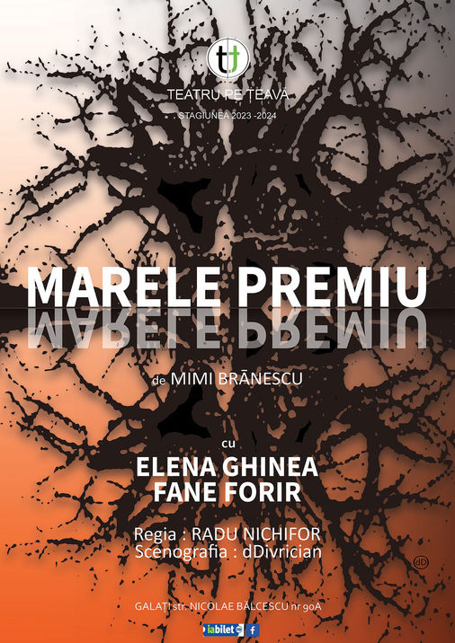 „Marele premiu” de Mimi Brănescu