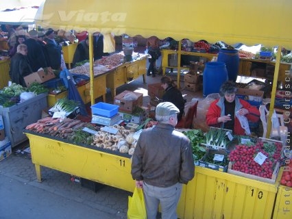 Pepenii se pregătesc de asalt 