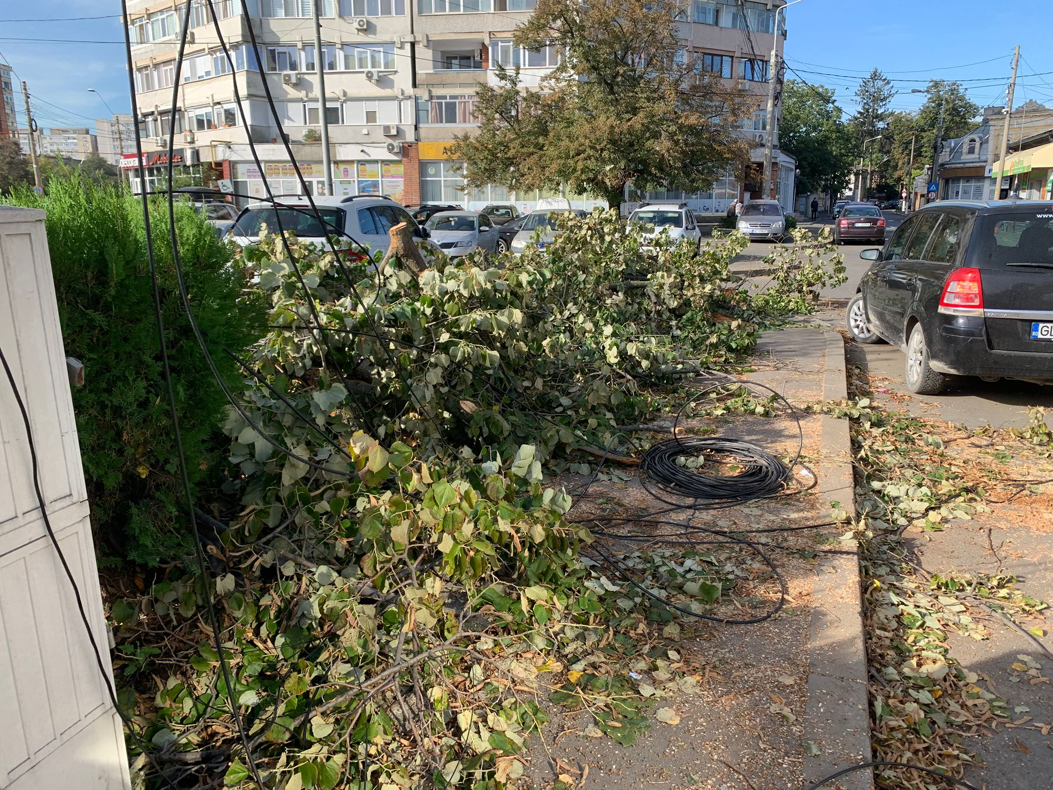 Copaci și crengi căzute în mai multe cartiere din Galaţi