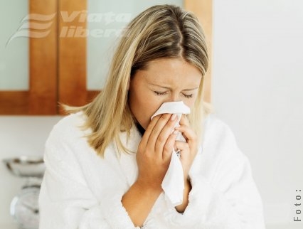 Puful de plopi, coşmarul alergicilor