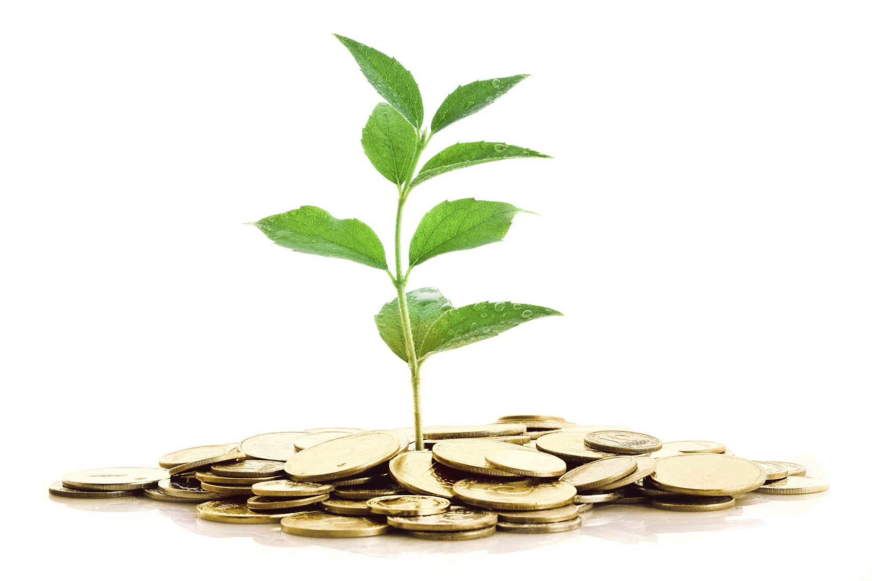 Fermierii gălăţeni, în aşteptarea SUBVENȚIILOR