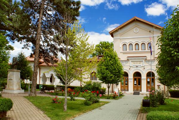 INTRARE LIBERĂ la Casa Cuza din Galați