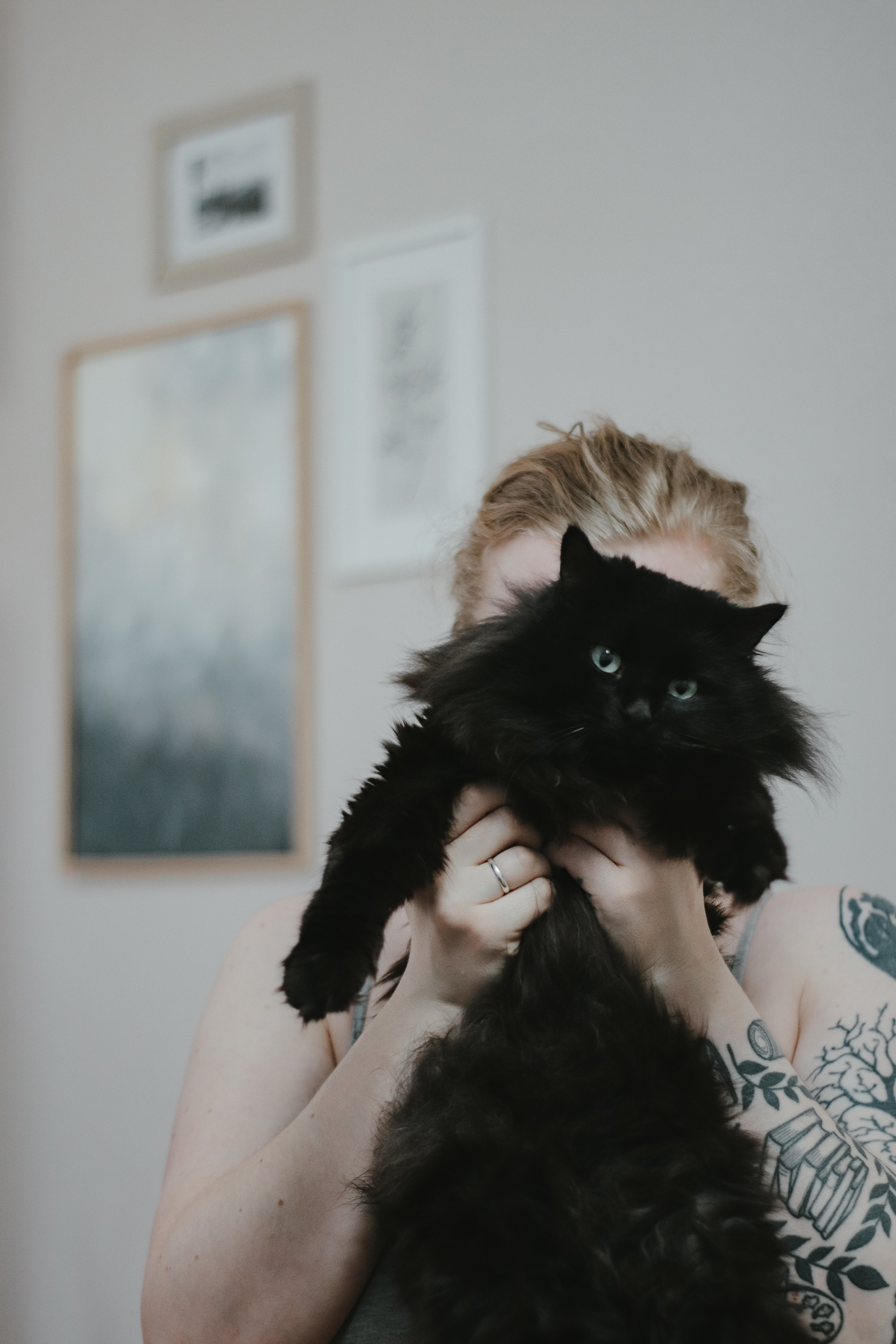 Școala iubitorilor de animale. Periat, nu luptă corp la corp!