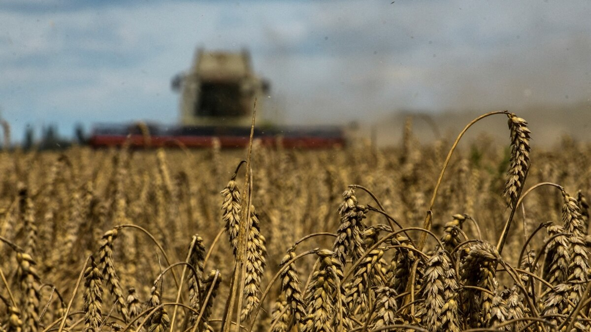 Scădere accelerată a prețurilor produselor agricole