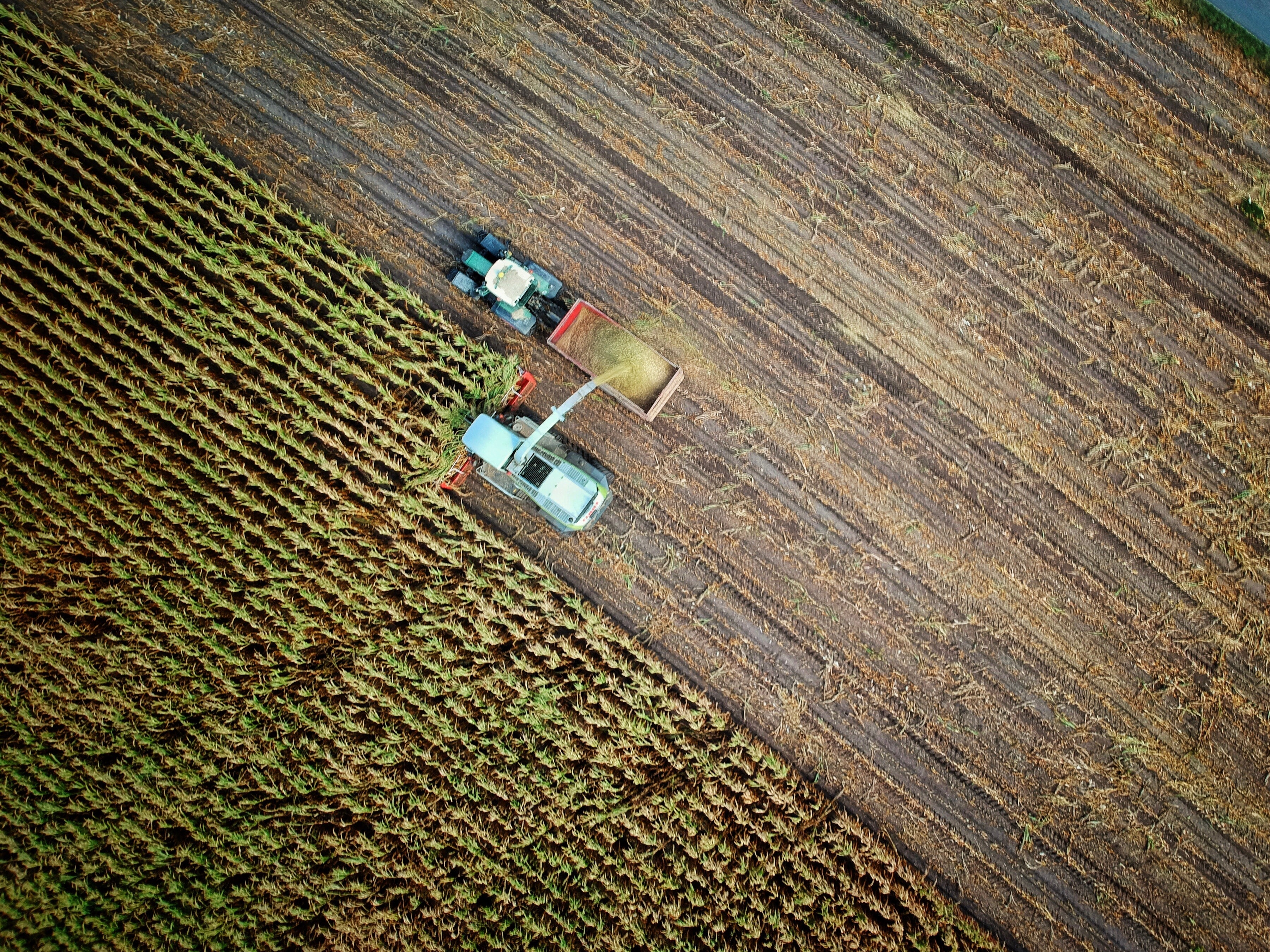 Agricultura rămâne tot sub semnul hazardului