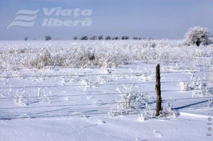 Dezastru în agricultură