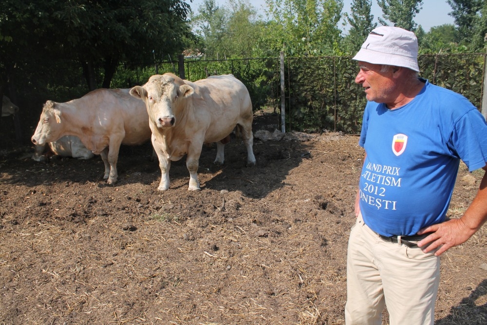 Creşterea vacilor de carne începe să prindă