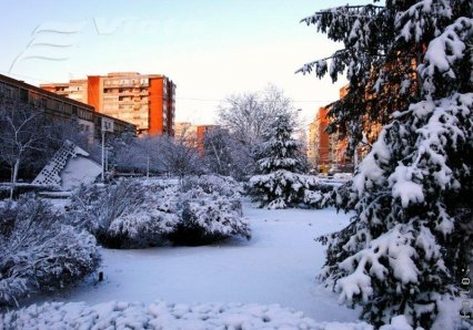 Zăpada mieilor