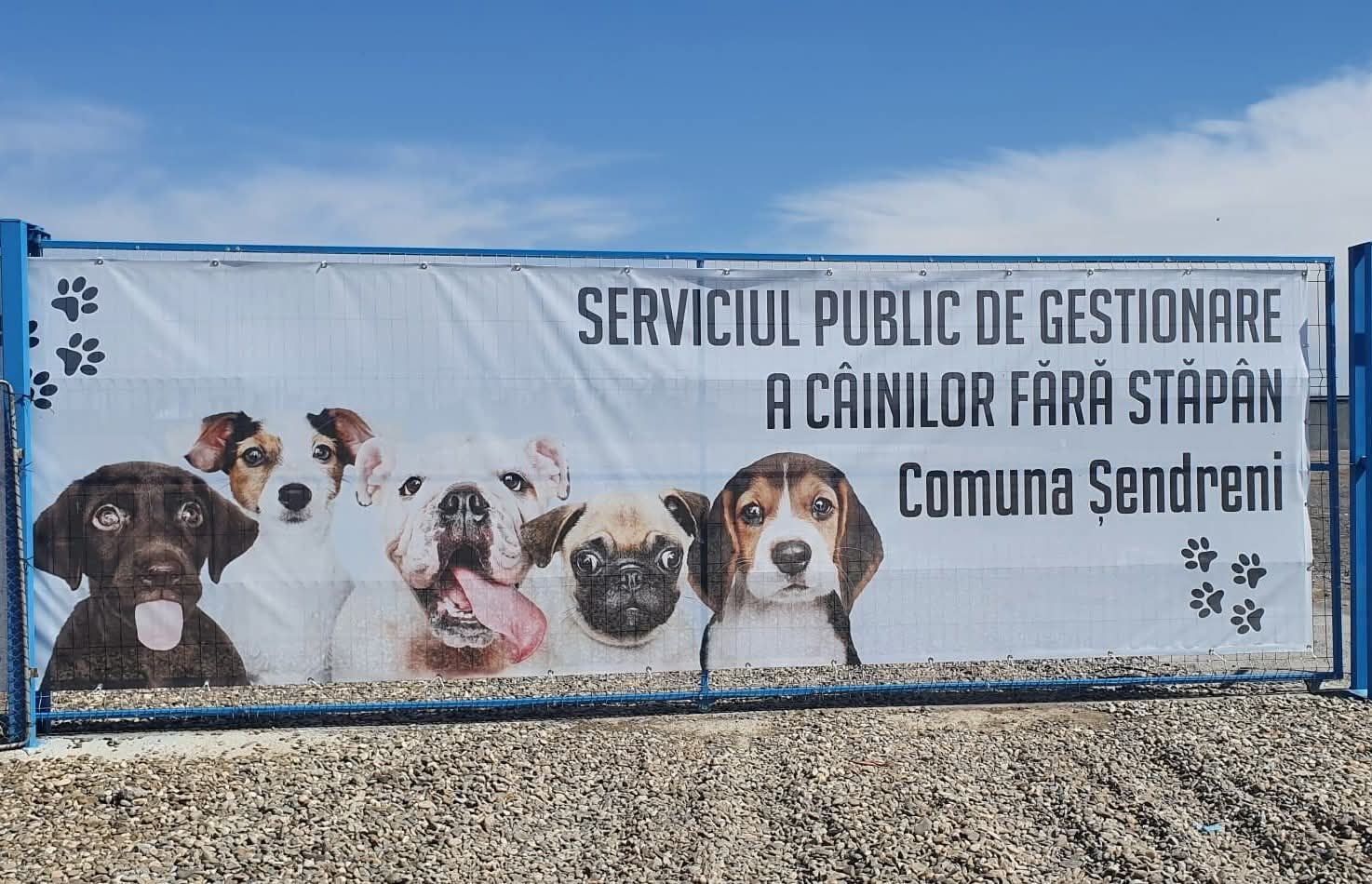 Sterilizări gratuite pentru câini și pisici în comuna Șendreni