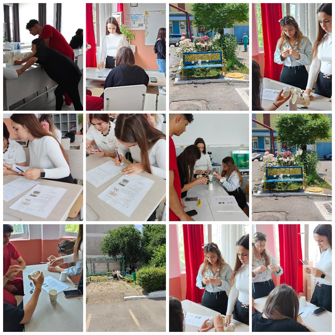 Creativitate şi spririt de echipă, la Liceul „Dumitru Moțoc”