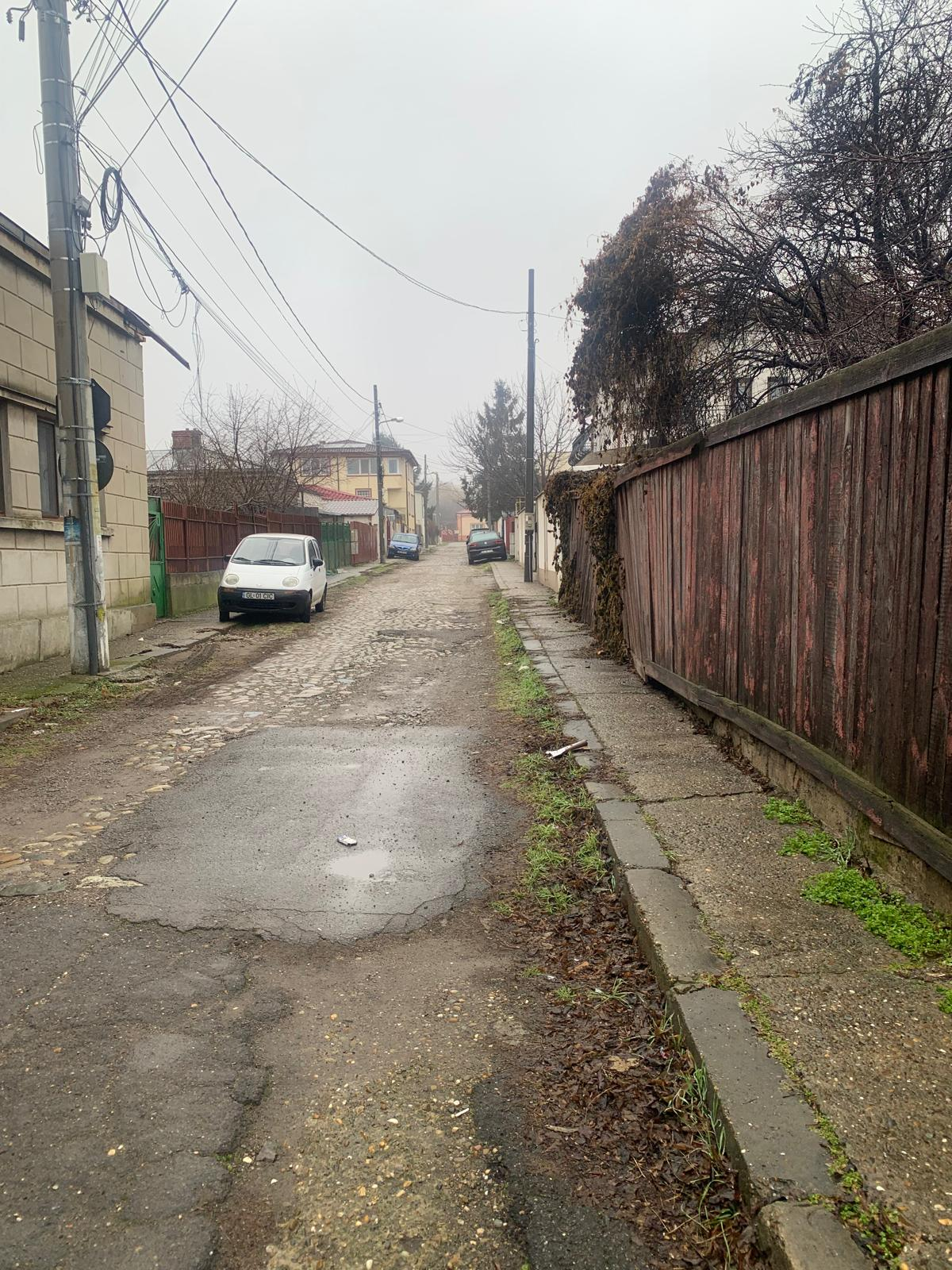 Aleea Albinei și fața nevăzută a civilizației