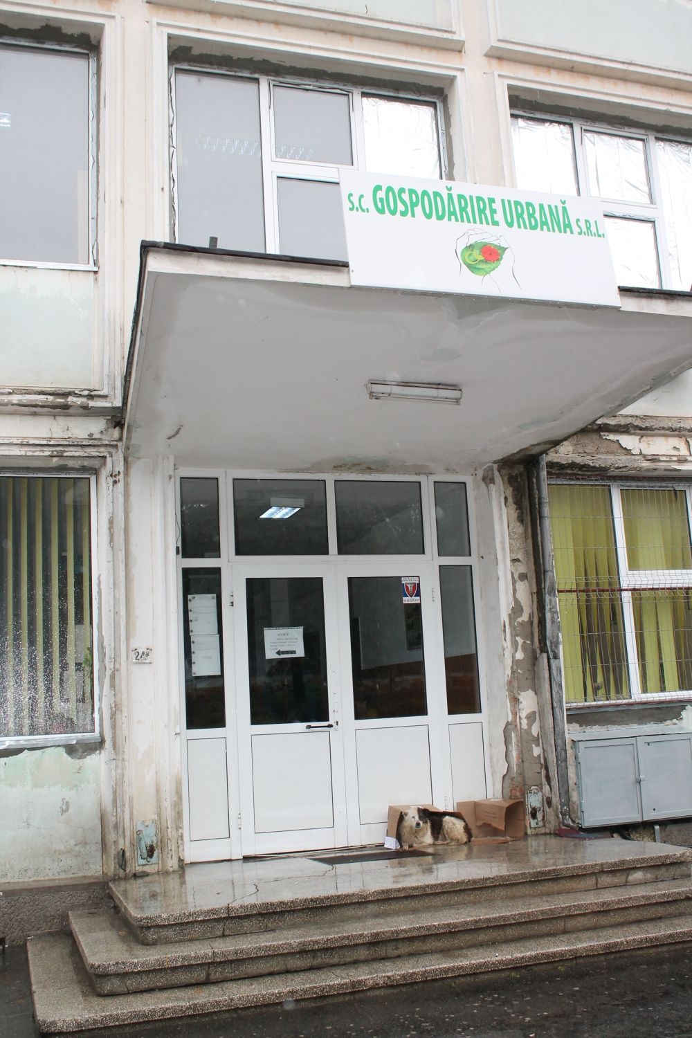 Ce dotări vrea Gospodărire Urbană, în 2016