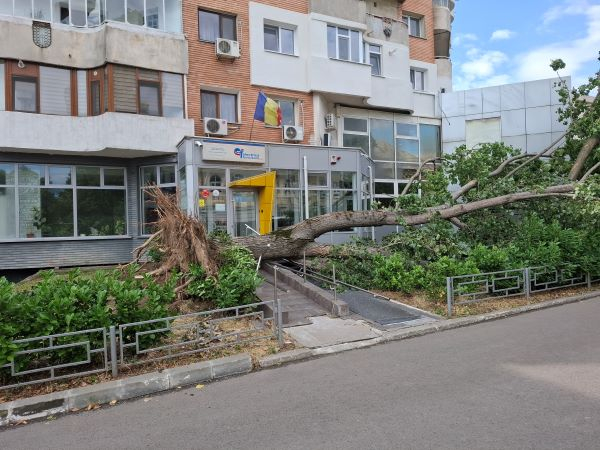 Poza zilei. Consecințele furtunii de vineri seară