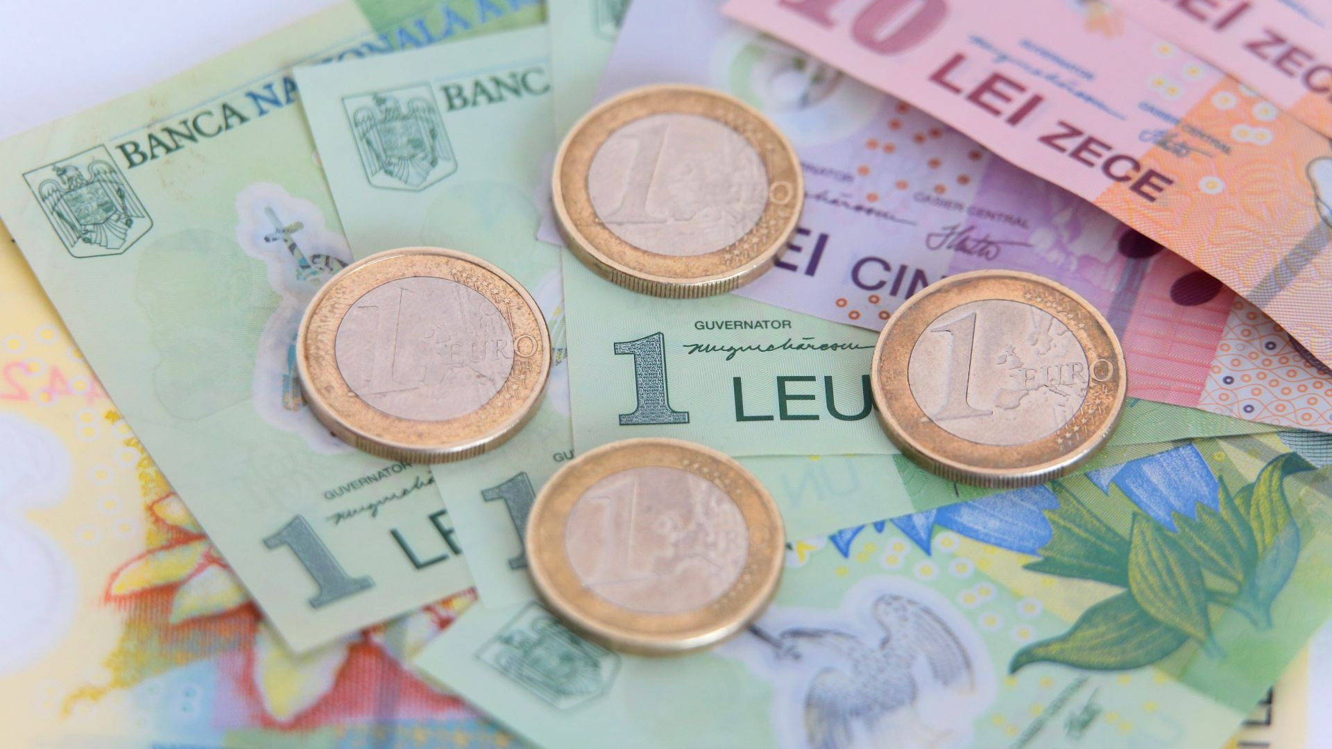 A cincea ședință consecutivă de apreciere pentru leu