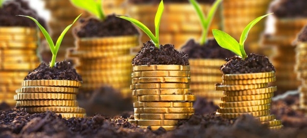 ÎNCEP plăţile avansurilor din subvenţie