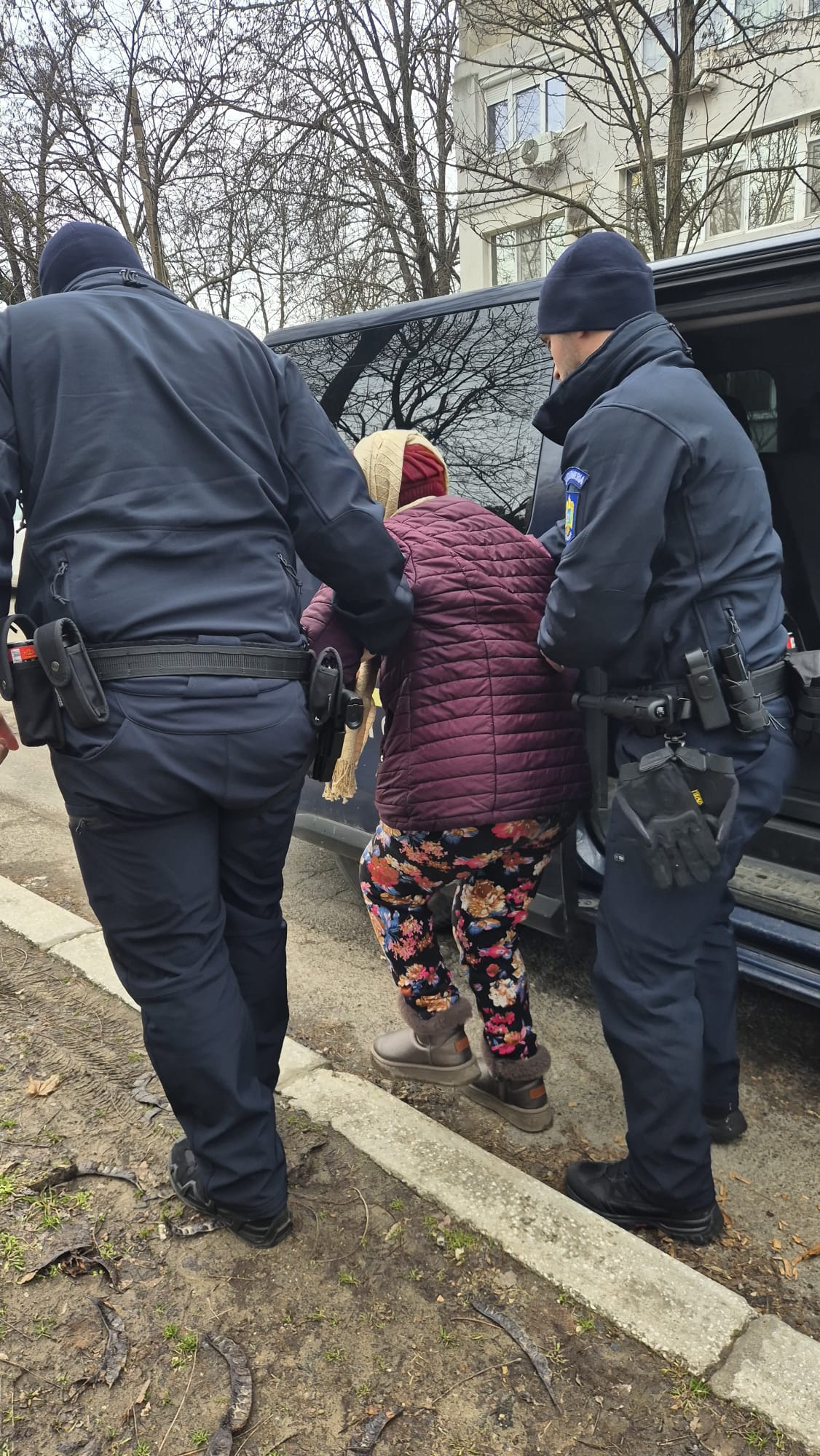 Gălățeancă extrasă din mijlocul unei haite de maidanezi