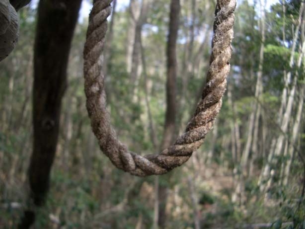 Macabru - Sinucigaş descoperit abia după trei săptămâni
