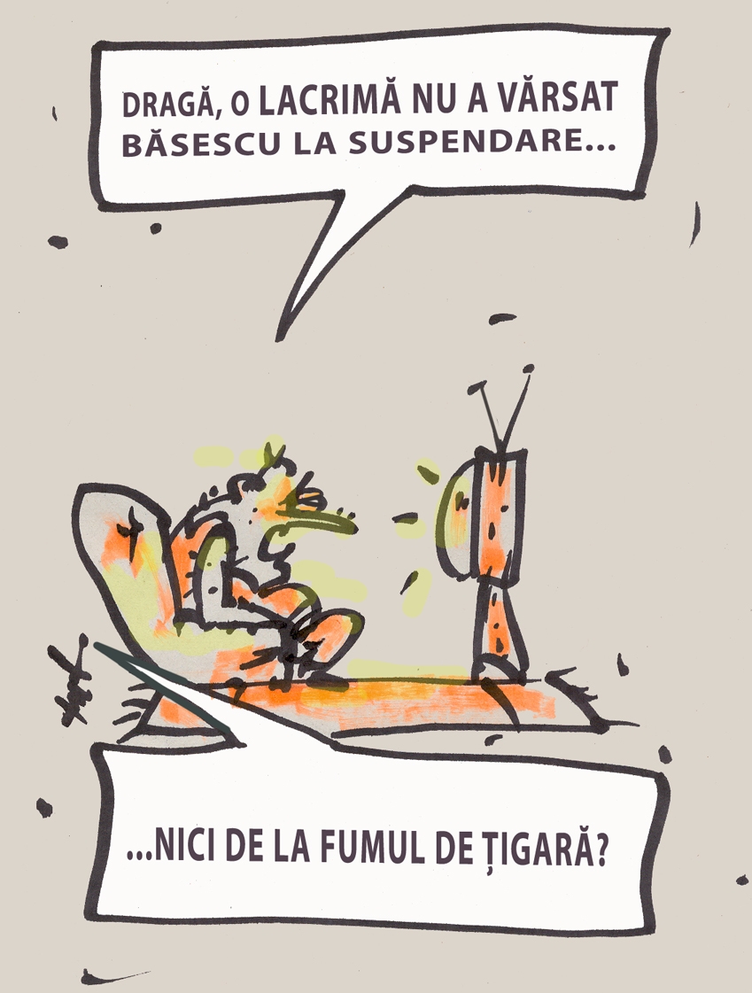 07-08 iulie 2012