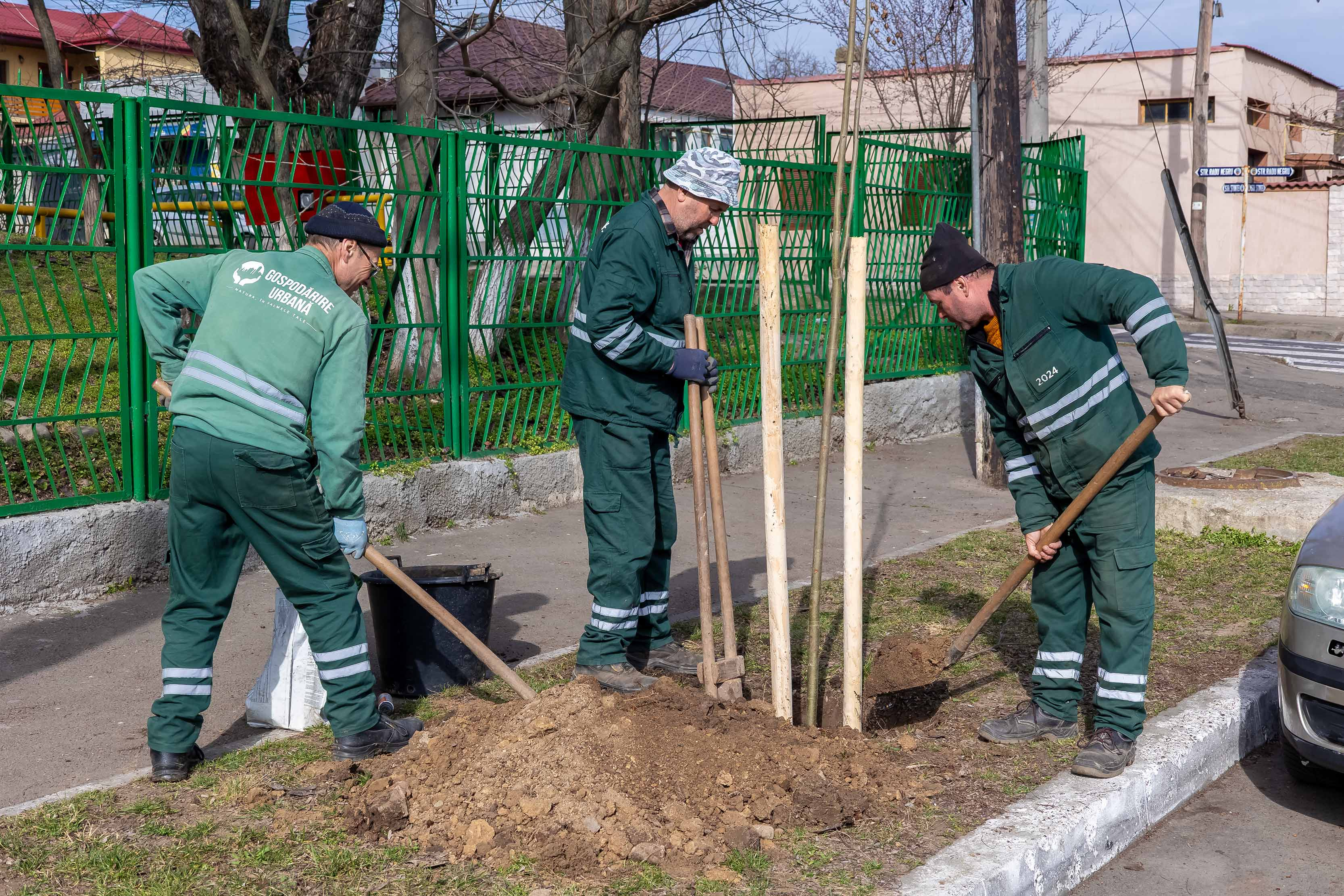 A început o nouă campanie de plantări de copaci în Galaţi