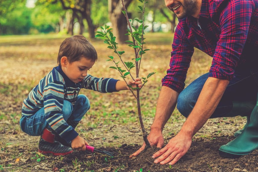Mobilizare pentru o acţiune de plantare la Tulucești