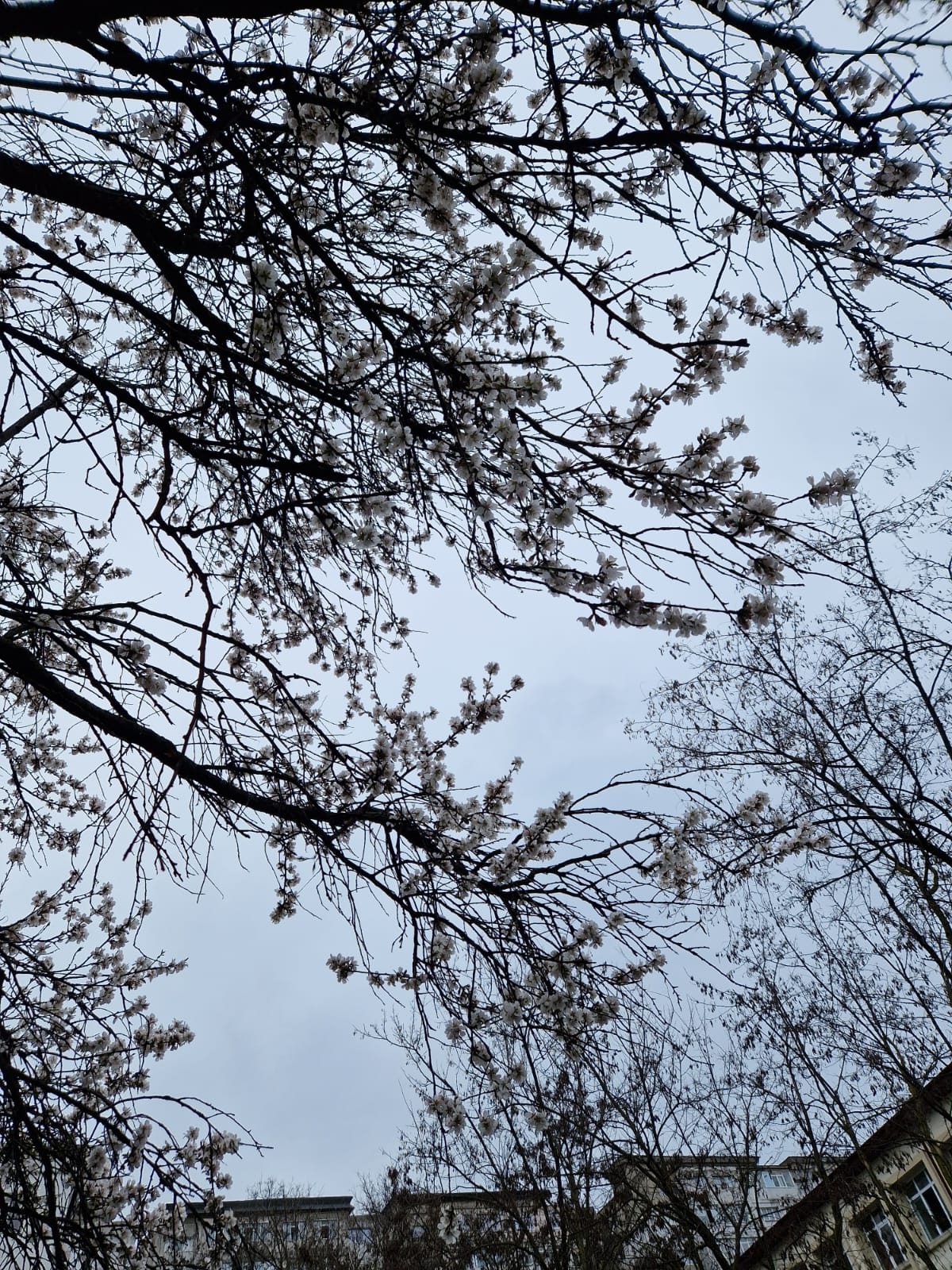 Cum va fi vremea la Galaţi în acest weekend