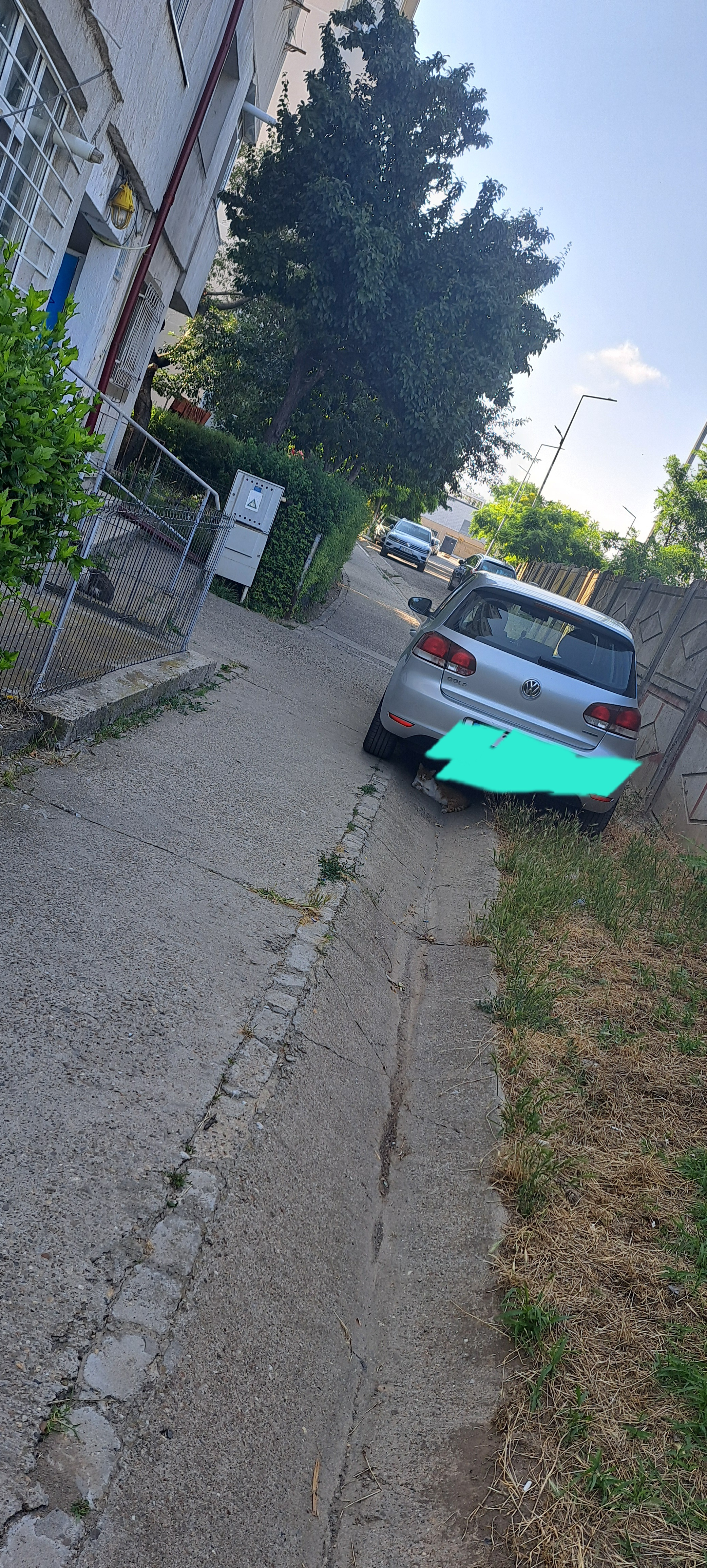Poza zilei. Parcarea în spaţiile comune, reguli şi nereguli
