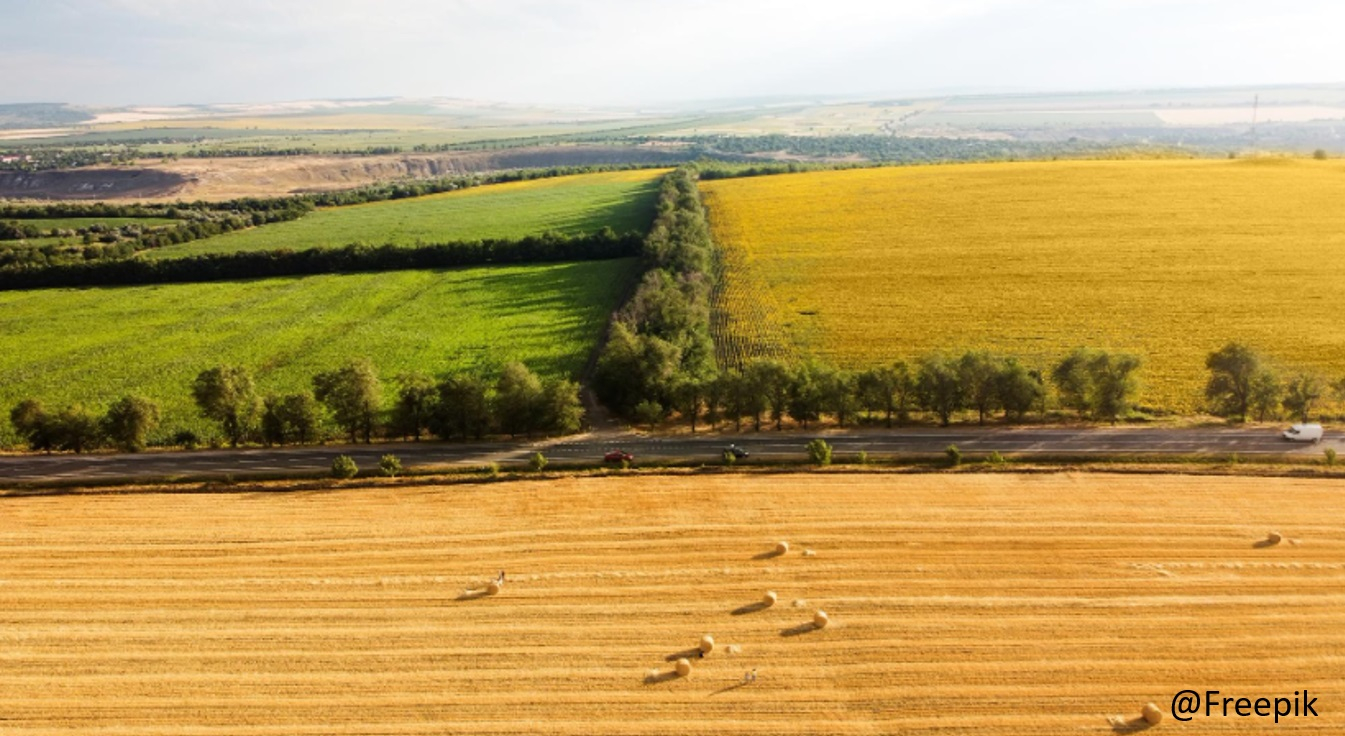 Prețurile medii ale culturilor agricole, aprobate de Consiliul Județean Galați