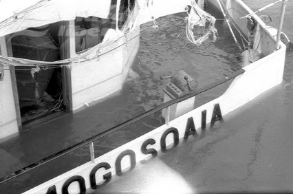 Mogoşoaia – 20 de ani