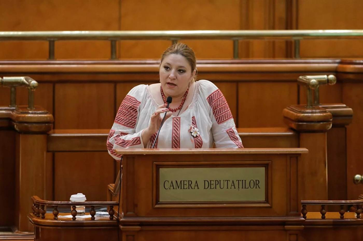 Diana Șoșoacă, fără imunitate parlamentară