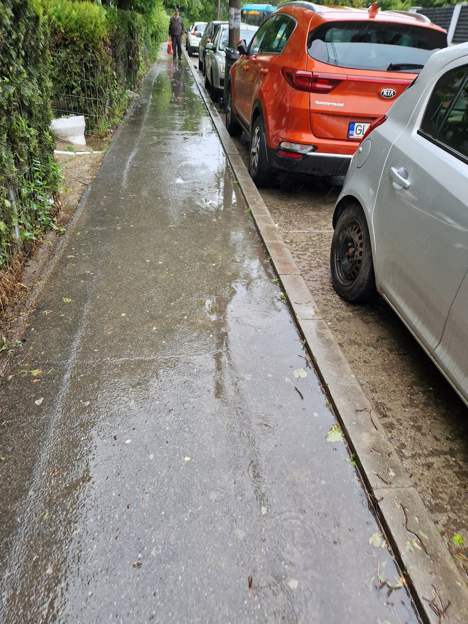 Vreme rece şi ploaie